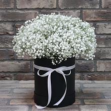 Цветочная композиция из Гипсофила в шляпной коробке в Воробьево